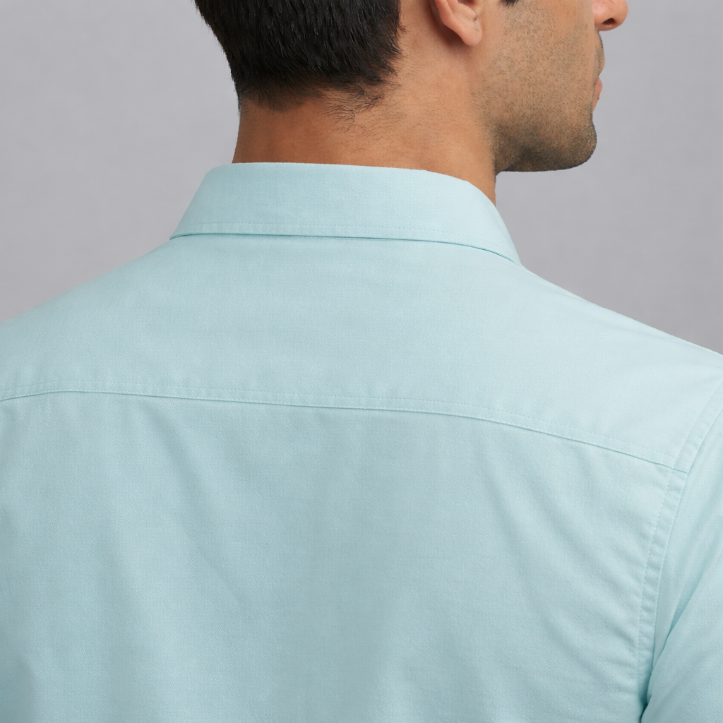 Blue Everyday Casual Shirt Collar back